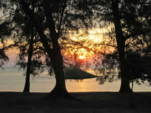 Sleeping Trees on Koh Rong Samloem Island, Cambodia.